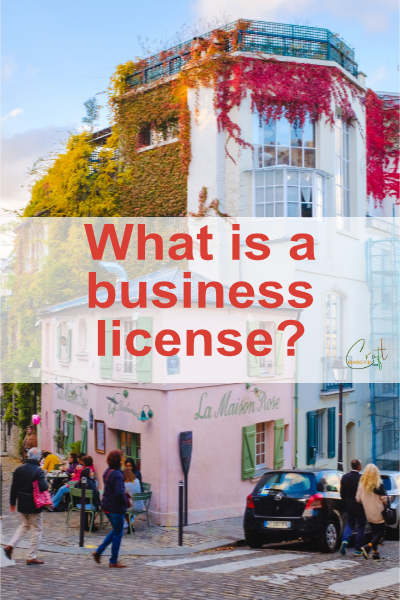 what is a business license